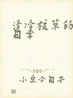 清冷校草的抹布日常