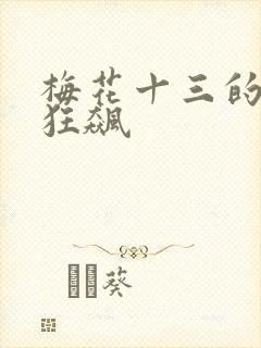 梅花十三的乳液狂飙