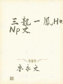 三龙一凤H啪肉Np文