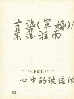 有染(军婚)/叶落淮南