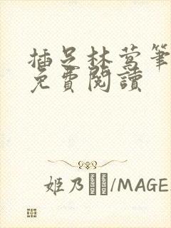 插足林莺笔趣阁免费阅读