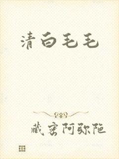 清白毛毛