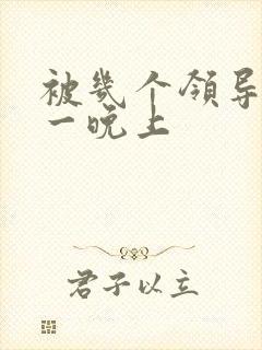 被几个领导玩弄一晚上