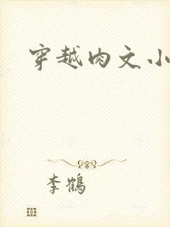 穿越肉文小说