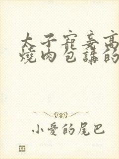 太子宠妾高肉红烧肉包讲的什么