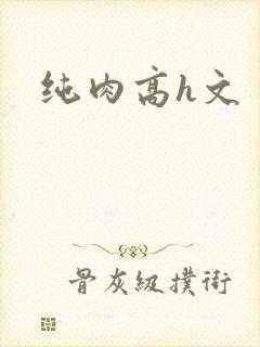 纯肉高h文