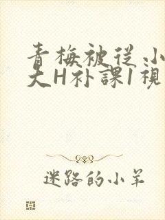 青梅被从小摸到大H补课1视频