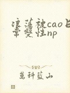 浪荡被cao日常双性np