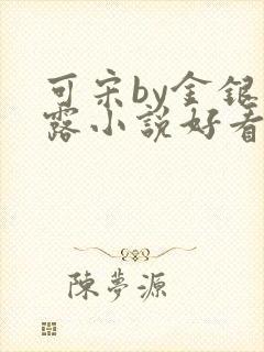 可宋by金银花露小说好看吗