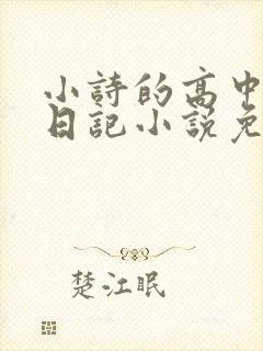 小诗的高中成长日记小说免费阅读