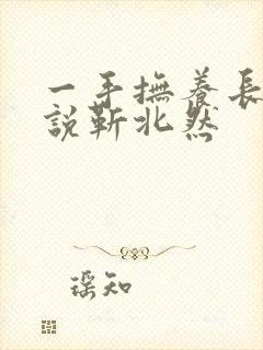 一手抚养长大小说靳北然