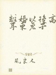 离婚以后高干 耳东兔子