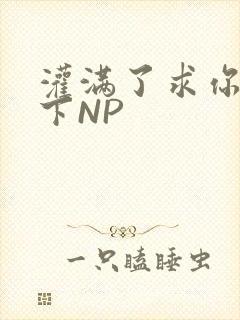 灌满了求你们停下NP