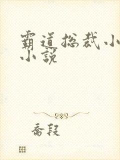 霸道总裁小娇妻小说