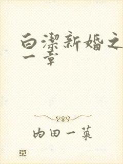 白洁新婚之夜第一章
