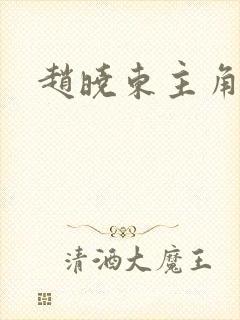 赵晓东主角小说