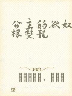 公主的欲奴h四根双龙