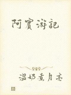 阿宾游记