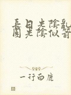 长日光阴乱作一团光阴似箭眇眇