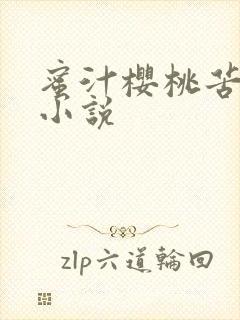 蜜汁樱桃苦咖啡小说