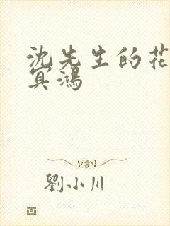 沈先生的花式调冥鸿