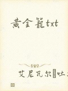 黄金笼txt