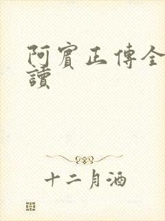 阿宾正传全文阅读