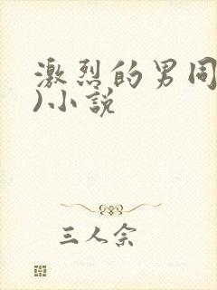 激烈的男同(h)小说