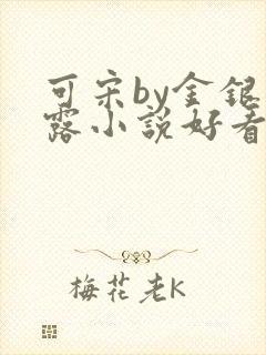 可宋by金银花露小说好看吗