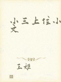 小三上位小说全文