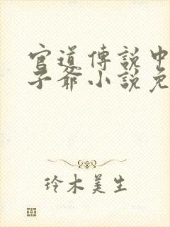 官道传说中的太子爷小说免费阅读