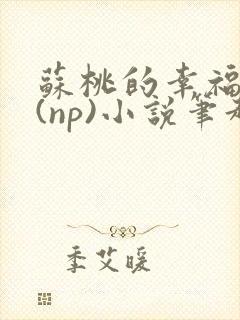 苏桃的幸福生活(np)小说笔趣阁沐沐