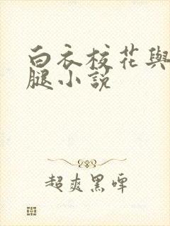 白衣校花与大长腿小说