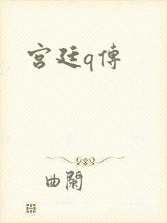宫廷q传