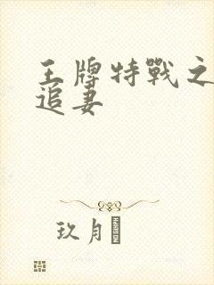 王牌特战之军少追妻