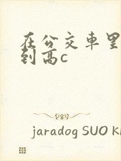 在公交车里c弄到高c