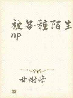 被各种陌生人 np