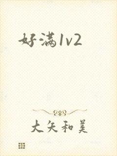 好满1v2