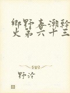 乡野春潮干柴烈火第六十三章