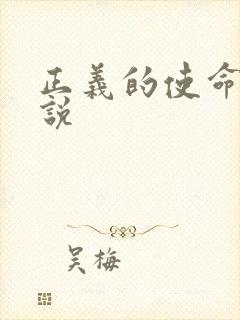 正义的使命 小说