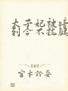 太子妃被暗卫C到合不拢腿