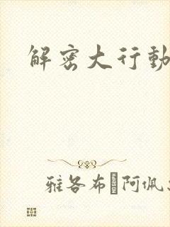 解密大行动