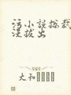 污小说总裁整夜没拔出