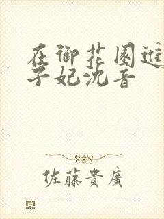 在御花园进入太子妃沈音