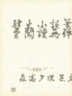 肆火小说笔趣免费阅读无弹窗