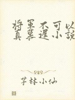 将军不可以魏云真慕迟小说笔趣阁