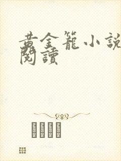 黄金笼小说免费阅读