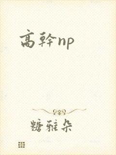 高干np