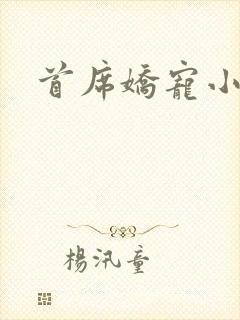 首席娇宠小情人