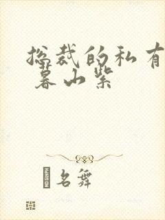 总裁的私有宝贝 暮山紫